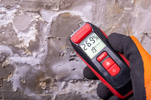 Best Toxic Mold Removal  in Galliano, LA