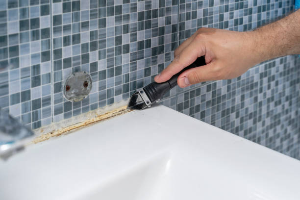 Best Professional Mold Removal  in Galliano, LA