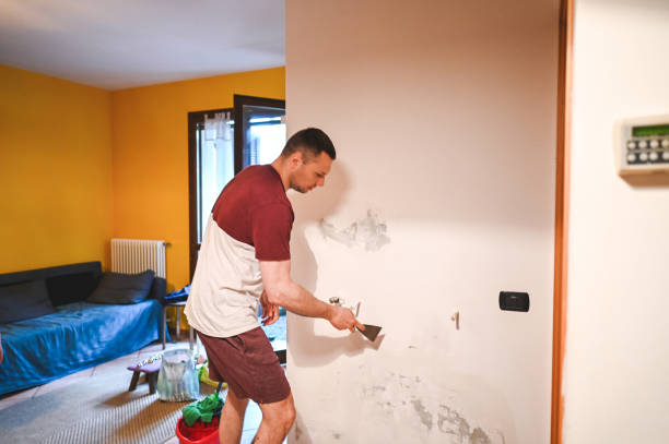 Best Certified Mold Removal  in Galliano, LA